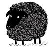 40890 thumb black sheep