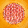 41553 thumb flower of life watermarked web size